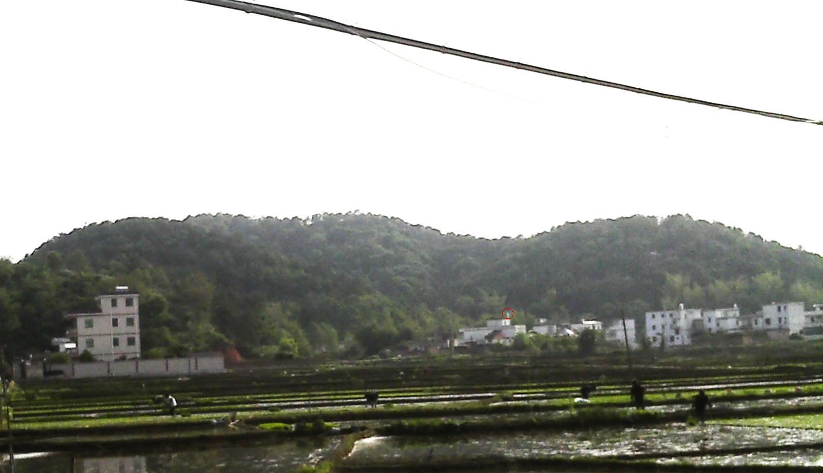 似雙金降水，雙龍入氣另起星峰或平陽一突結穴。